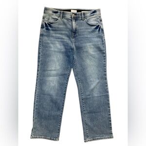 Curve Appeal Jeans Womens 12/31 Blue Heritage Luxe Rae High Rise Straight Leg